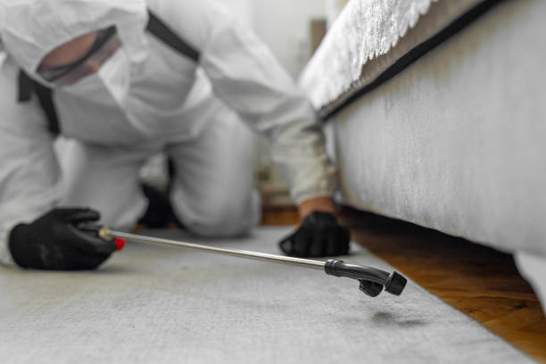 Professional Termite Control technician working in Greenwood, LA