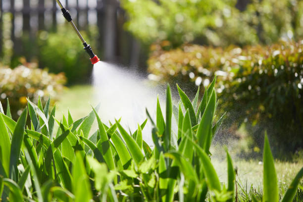 24/7 Emergency Termite Control experts in Greenwood, LA