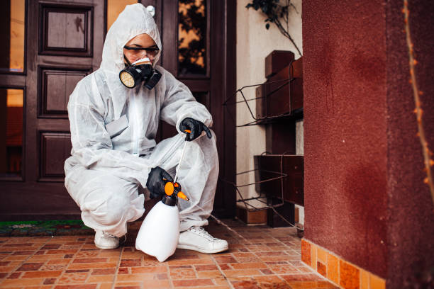 Reliable Termite Control contractor in Greenwood, LA by Nex Pest Control