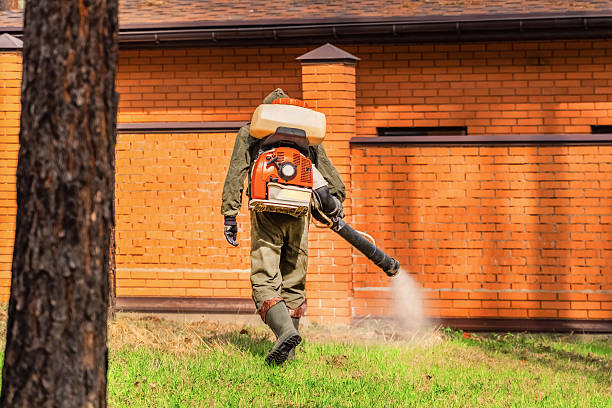 Trusted Cockroach Control service in Greenwood, LA - Nex Pest Control